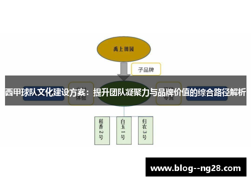 西甲球队文化建设方案：提升团队凝聚力与品牌价值的综合路径解析