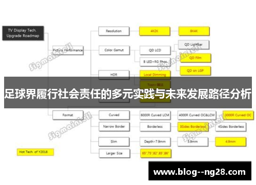 足球界履行社会责任的多元实践与未来发展路径分析