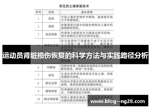 运动员肾脏损伤恢复的科学方法与实践路径分析
