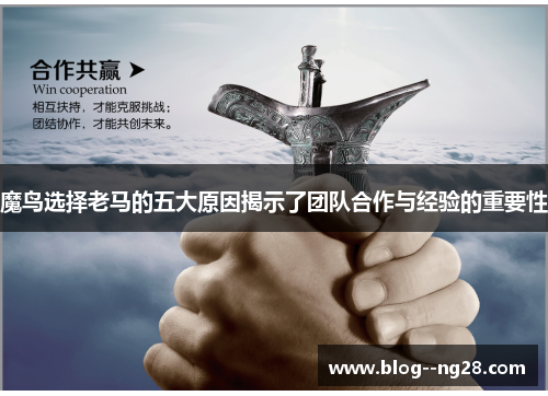 魔鸟选择老马的五大原因揭示了团队合作与经验的重要性